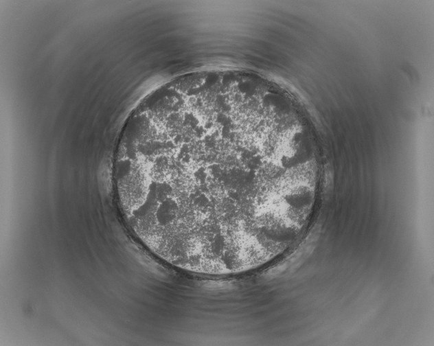 X0000110871409200907301403