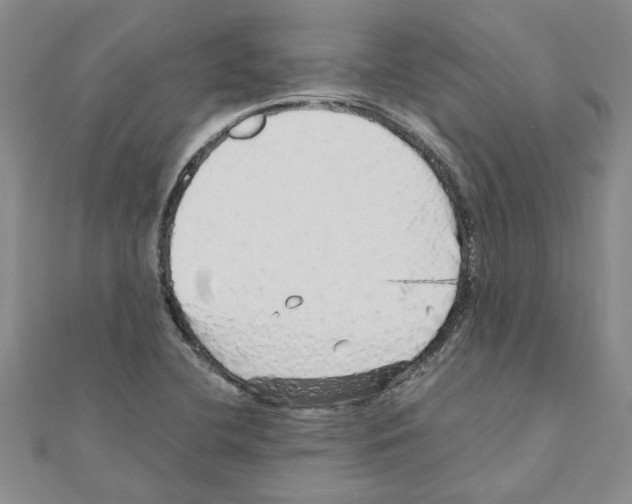 X0000110871412200907301403