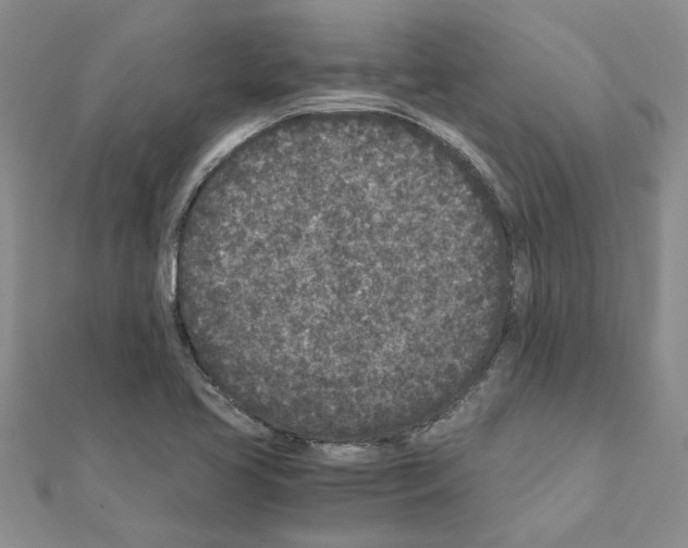 X0000110871413200907301403