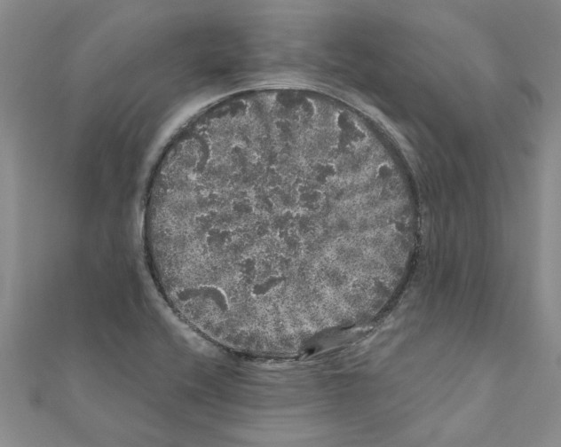 X0000110871416200907301403