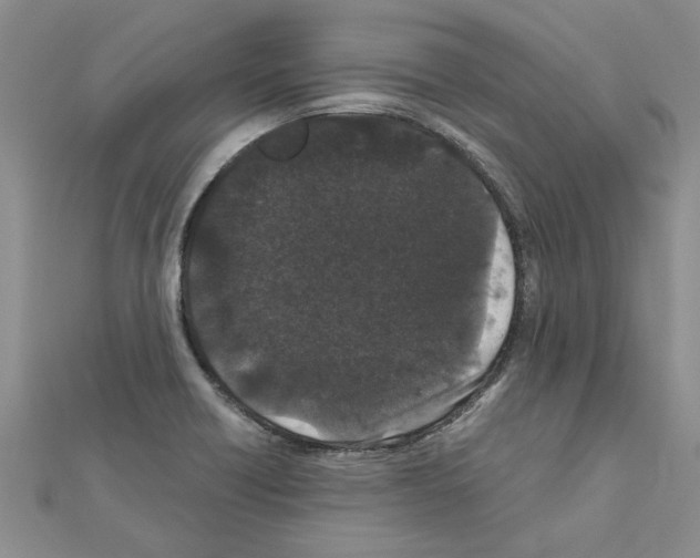 X0000110871418200907301403