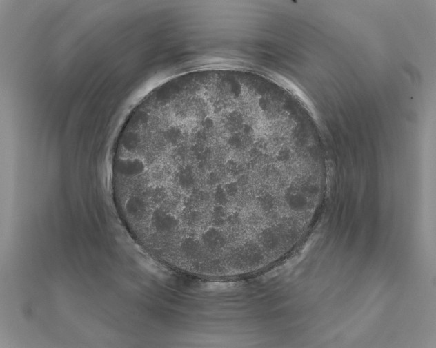 X0000110871419200907301403