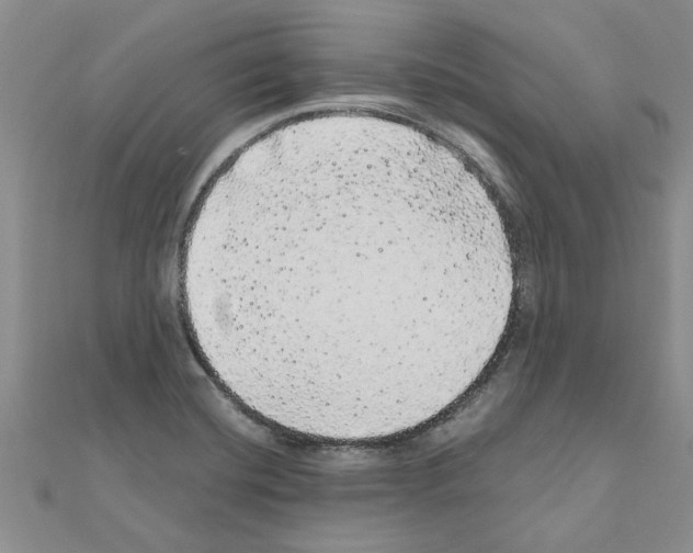 X0000110871420200907301403