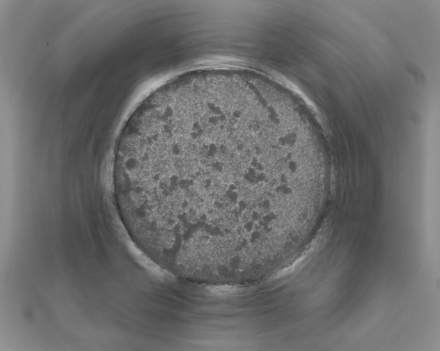 X0000110871421200907301403