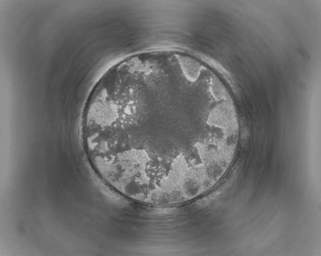 X0000110871423200907301403