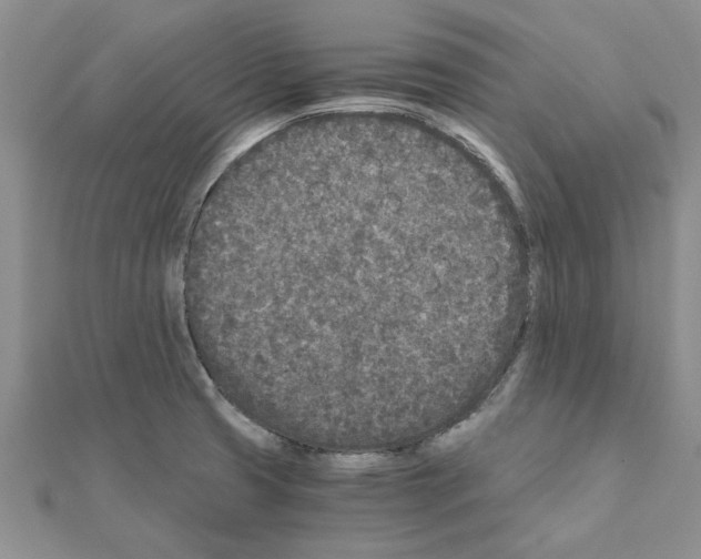 X0000110871425200907301404