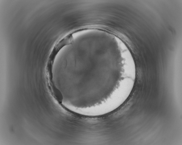 X0000110871428200907301404