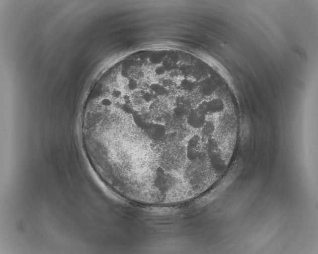 X0000110871429200907301404