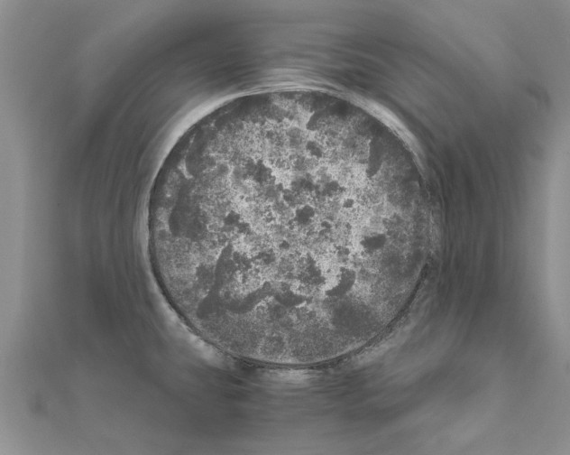 X0000110871431200907301404