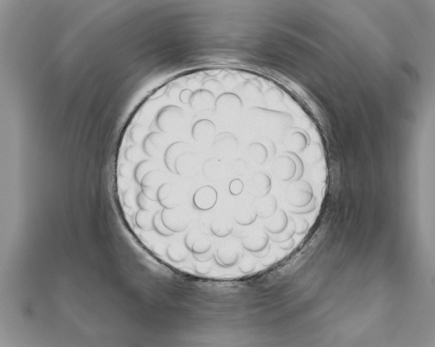 X0000110871432200907301404