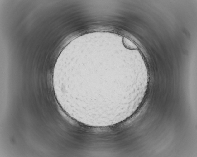 X0000110871433200907301404