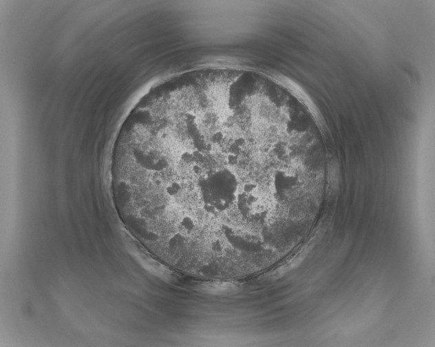 X0000110871435200907301404