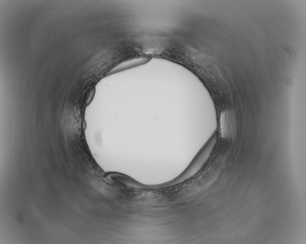 X0000110871443200907301403