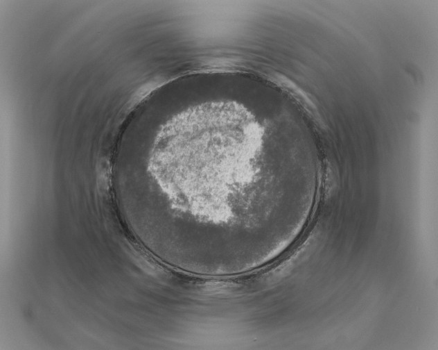 X0000110871449200907301403