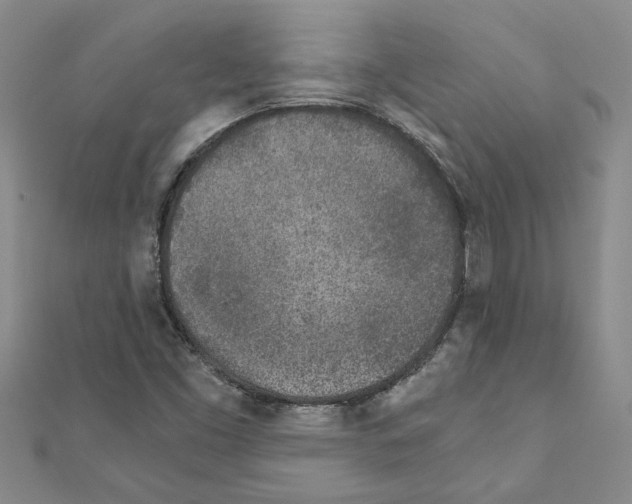 X0000110871453200907301403