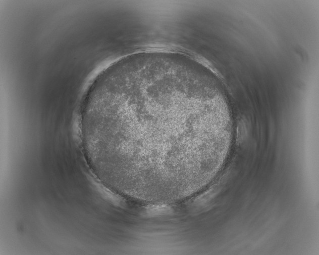 X0000110871454200907301403