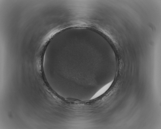 X0000110871455200907301403