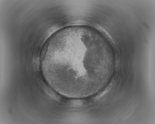 X0000110871457200907301403