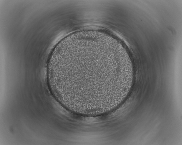 X0000110871459200907301403