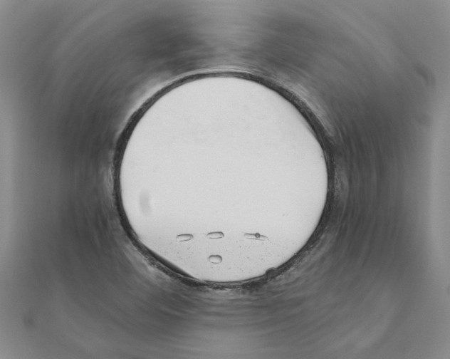 X0000110871460200907301403