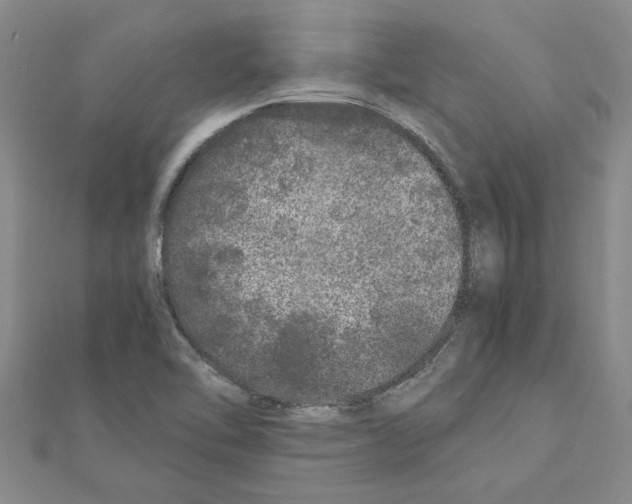 X0000110871462200907301403