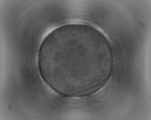 X0000110871463200907301403