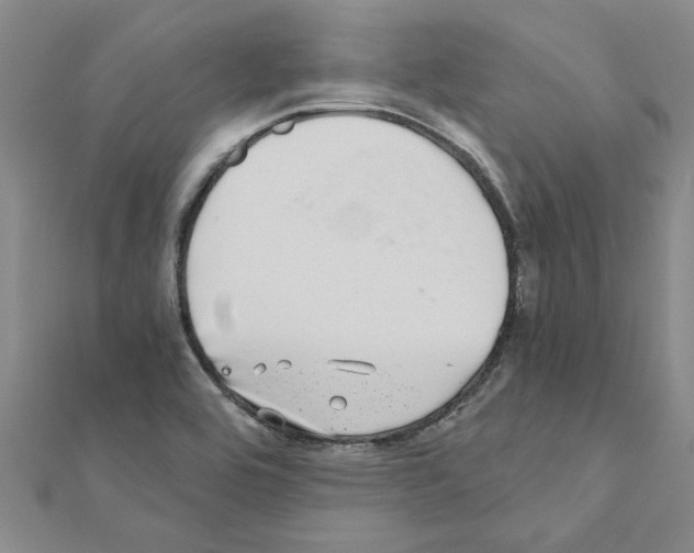 X0000110871464200907301402