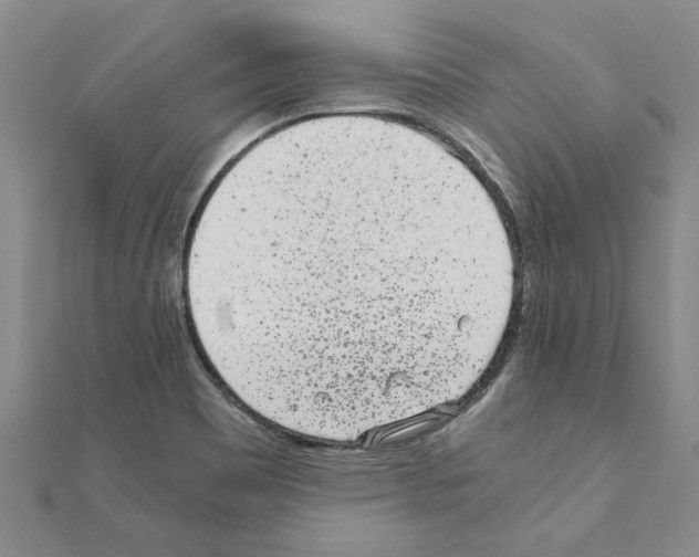 X0000110871465200907301402