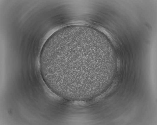 X0000110871466200907301402