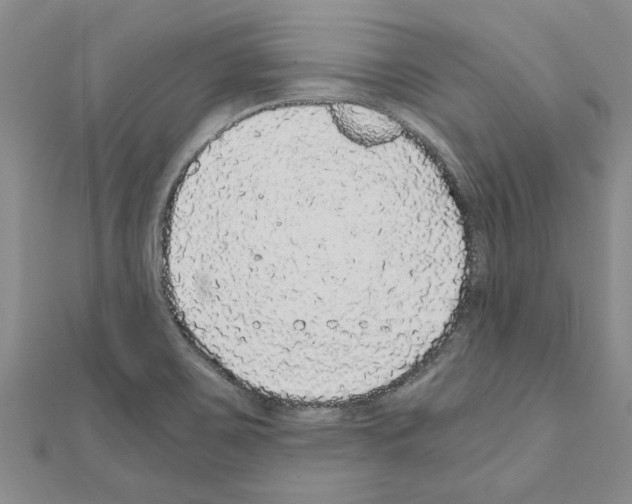 X0000110871467200907301402