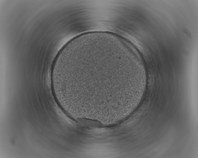 X0000110871468200907301402