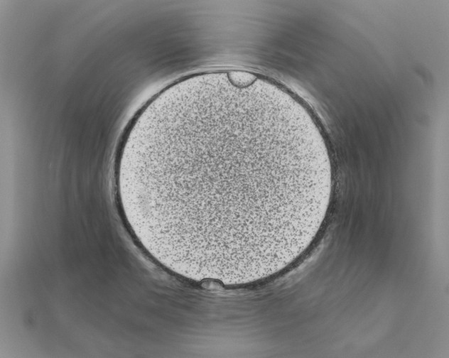 X0000110871469200907301402