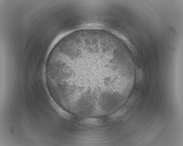 X0000110871470200907301402