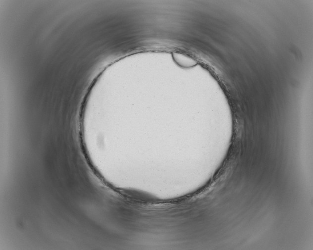 X0000110871471200907301402