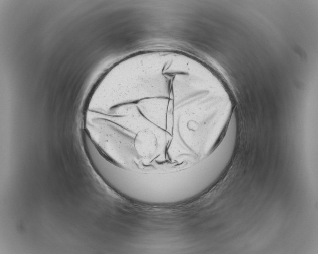 X0000110871472200907301402