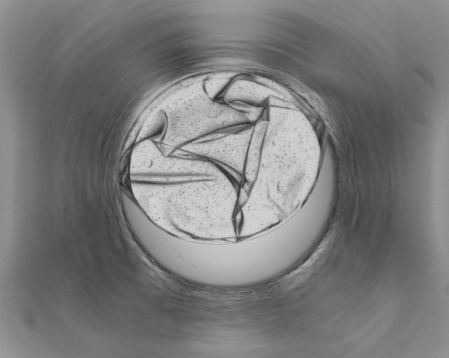 X0000110871473200907301402