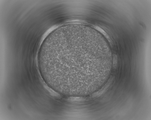 X0000110871474200907301402