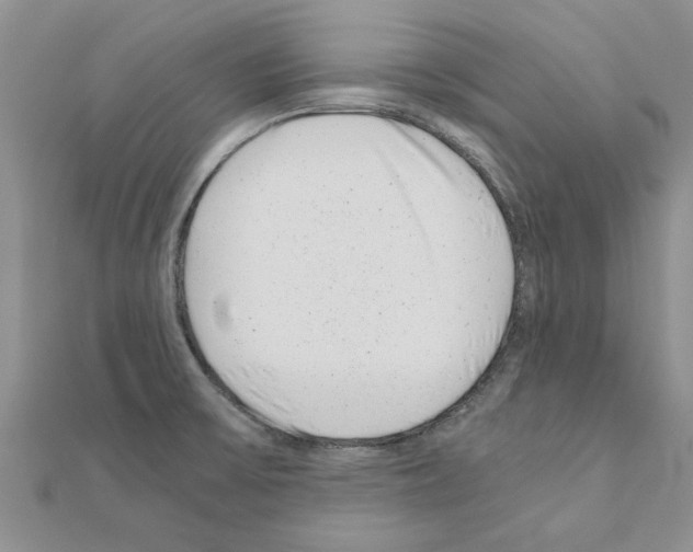 X0000110871475200907301402