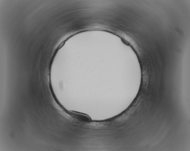 X0000110871476200907301402