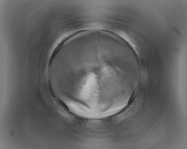 X0000110871477200907301402