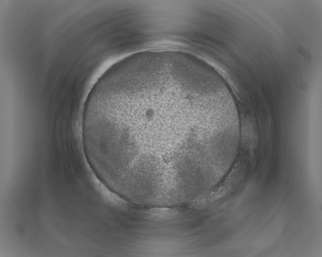 X0000110871478200907301402