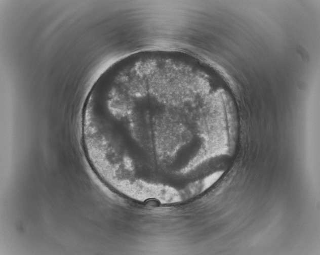 X0000110871479200907301402