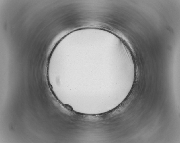 X0000110871480200907301402