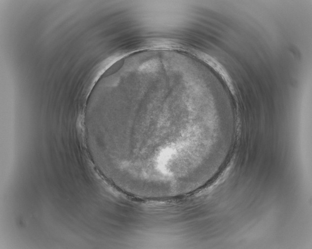 X0000110871481200907301402