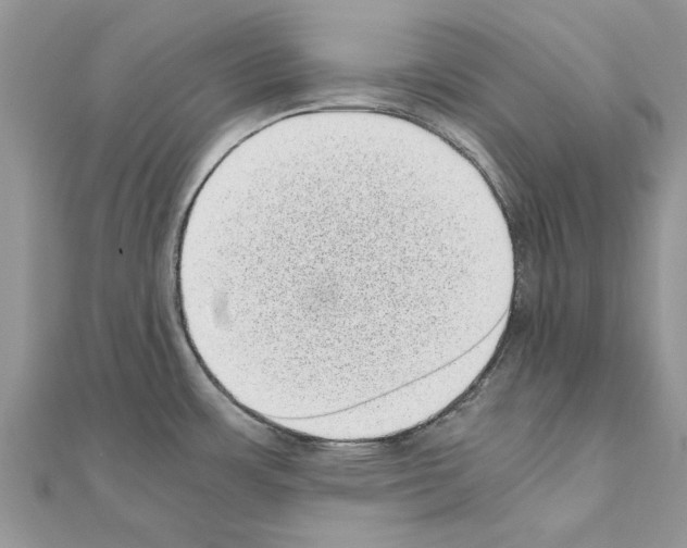 X0000110871483200907301402