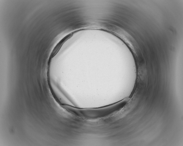 X0000110871484200907301402