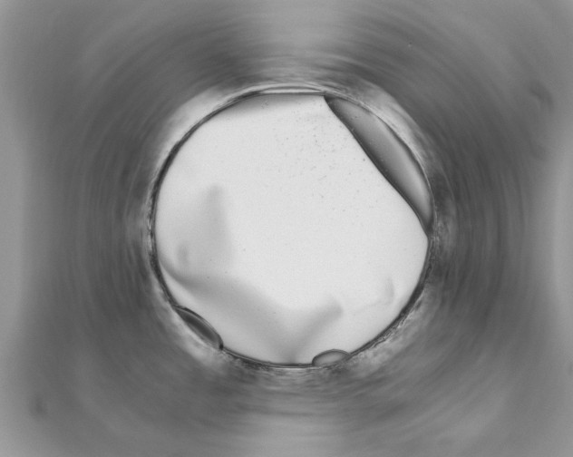 X0000110871485200907301402