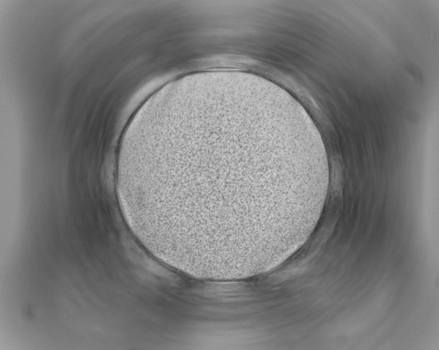 X0000110871486200907301402