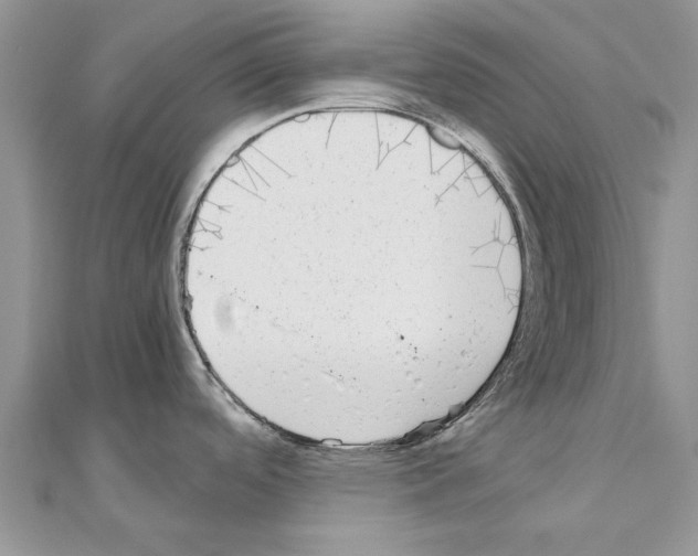 X0000110871488200907301402