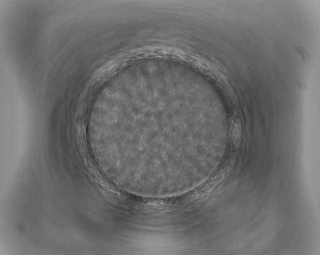 X0000110871489200907301401